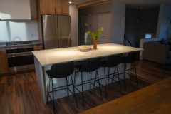 Modern Renovation