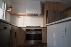 Modern Renovation