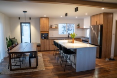 Modern Renovation